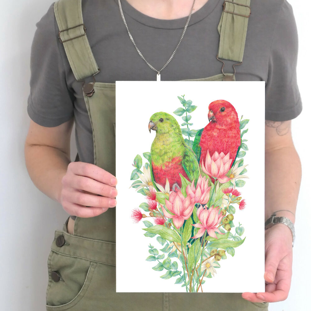 A4 art print of Australian King Parrots, by Australian artist Kayla Reay.