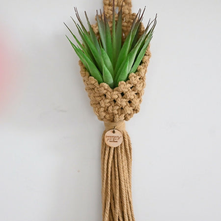 Macrame Faux Plant Holder/Air plant Pod