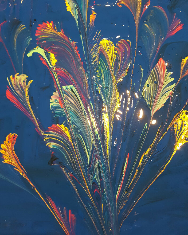 IMG_20240618_202658_077