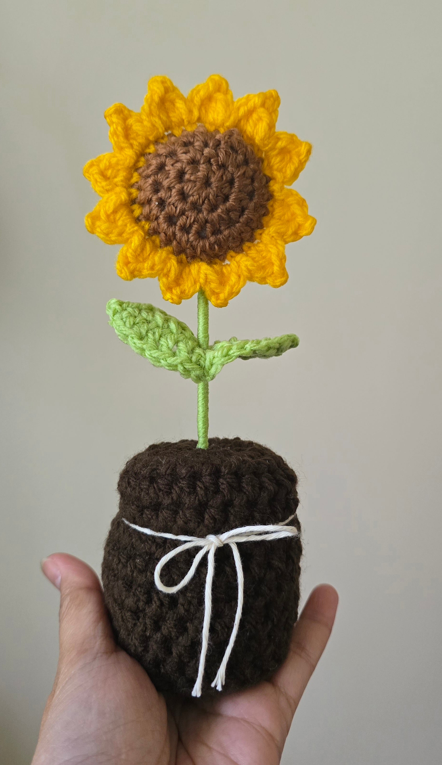 Sunflower in a Pot