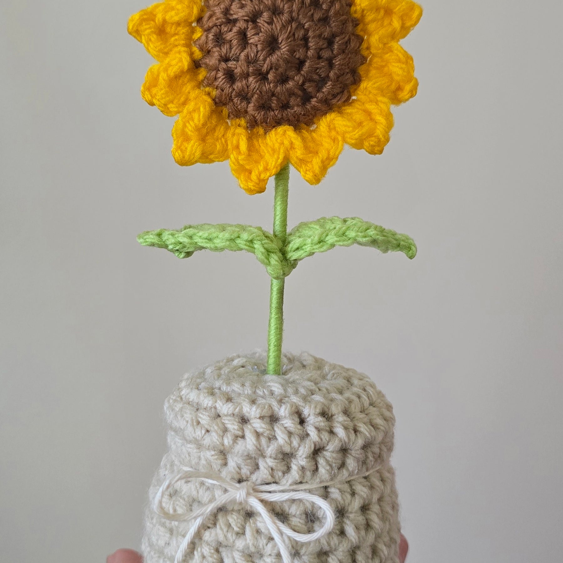 Sunflower in a Pot