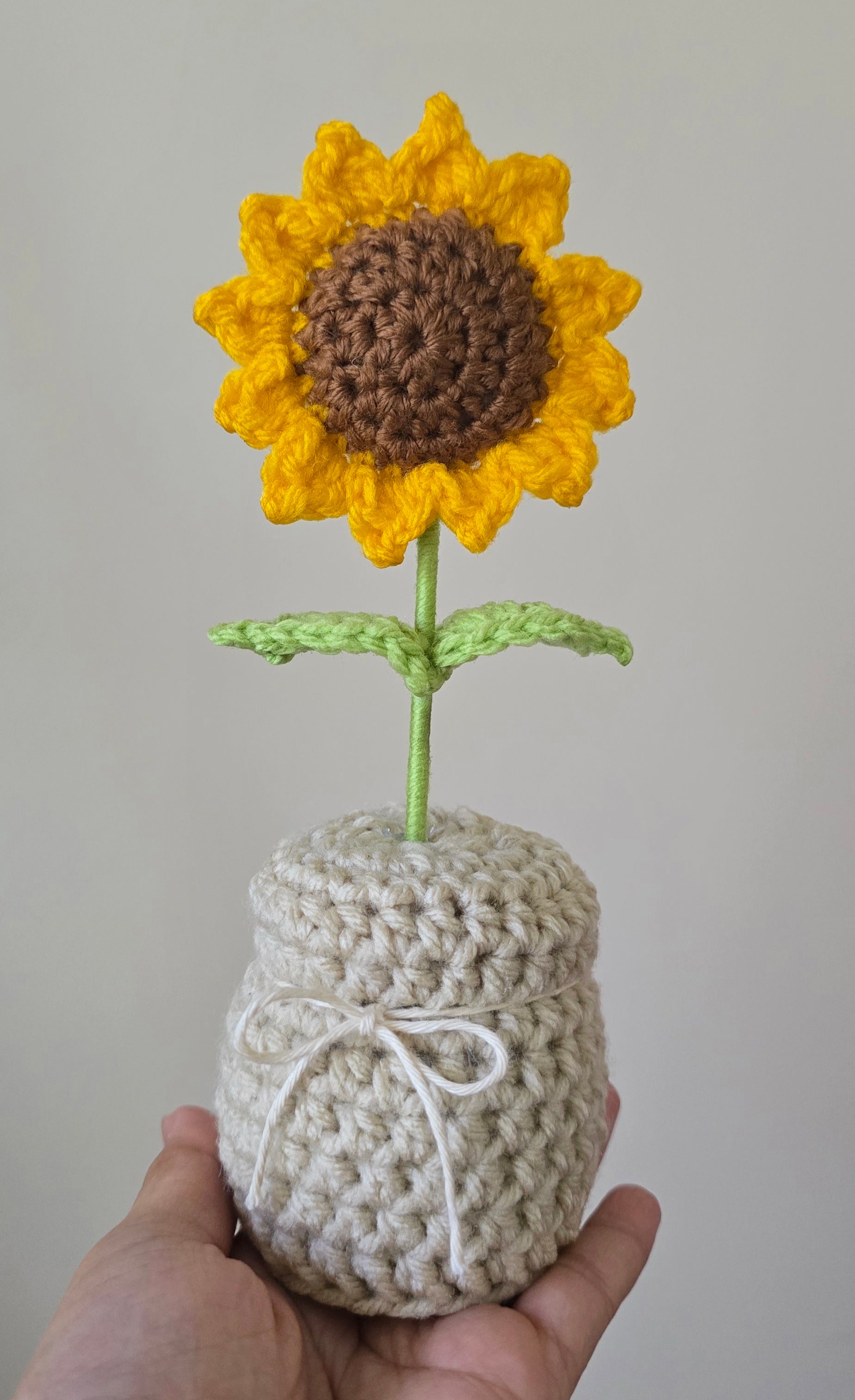 Sunflower in a Pot