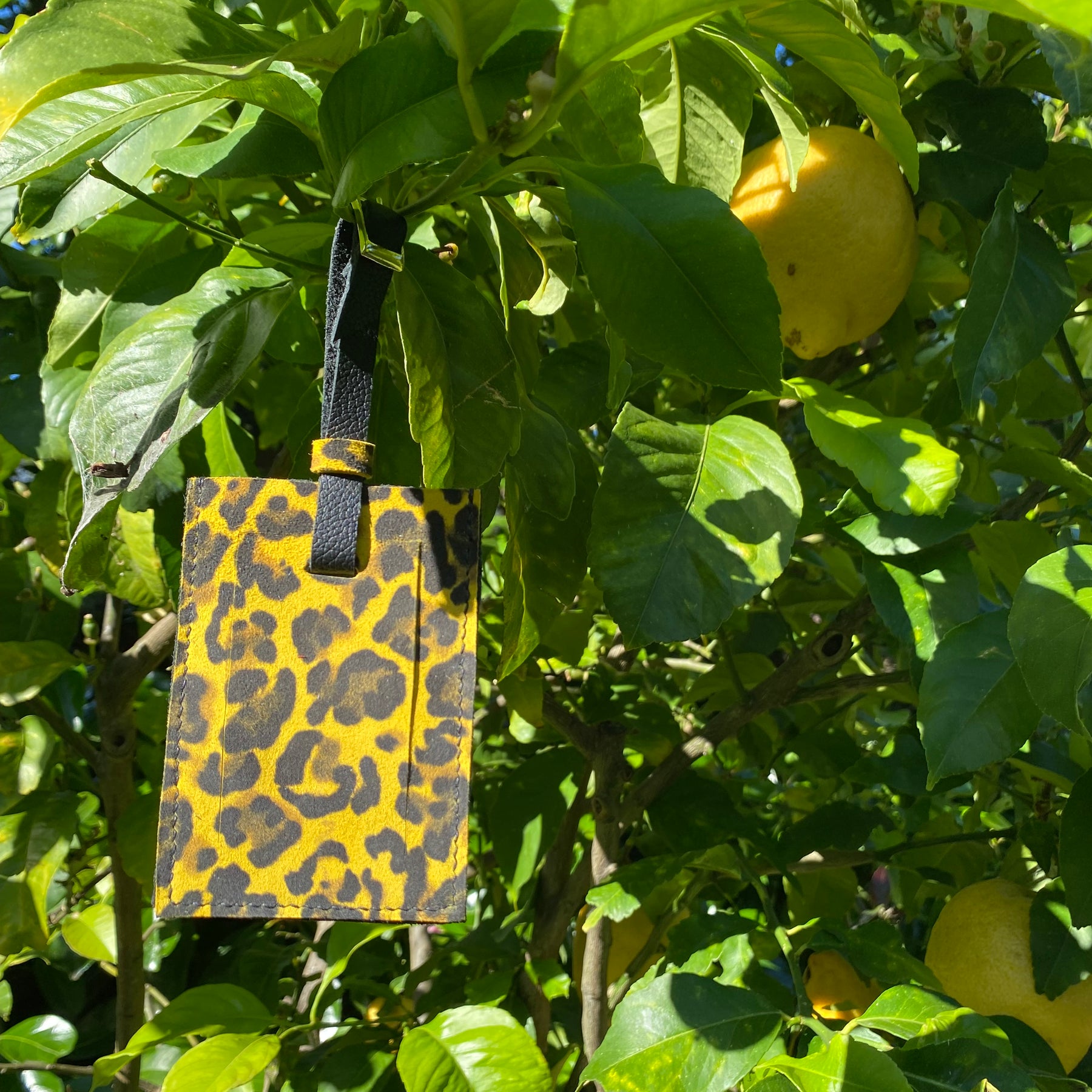 Leather luggage tags