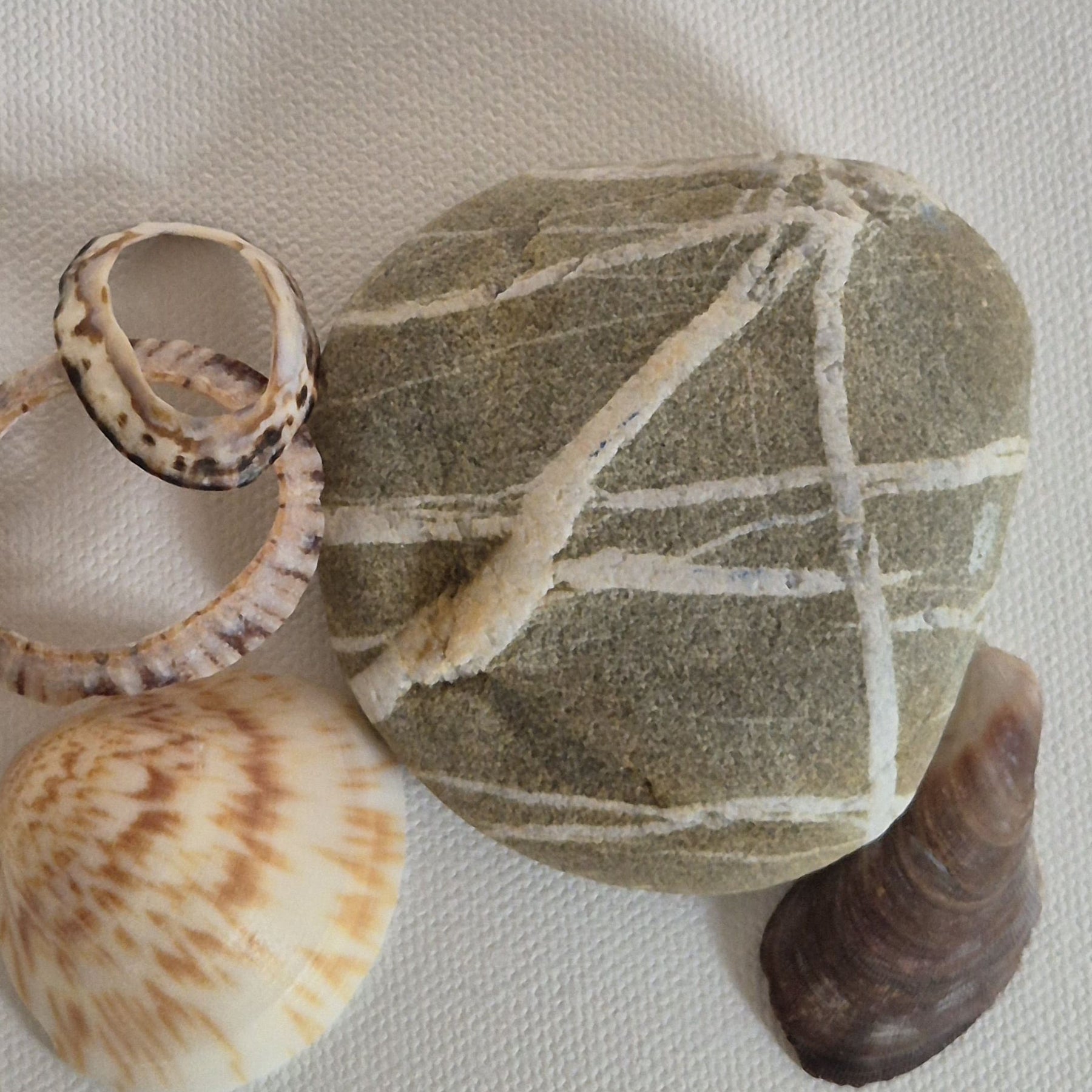 Original linocut art titled Shells and Stones