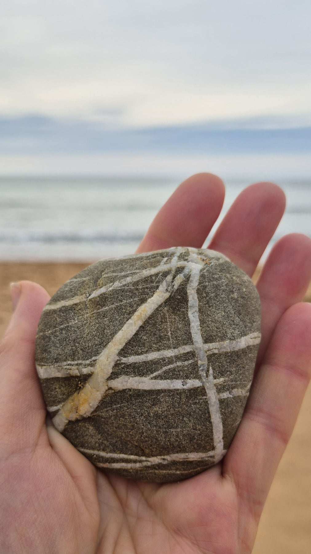 Original linocut art titled Shells and Stones