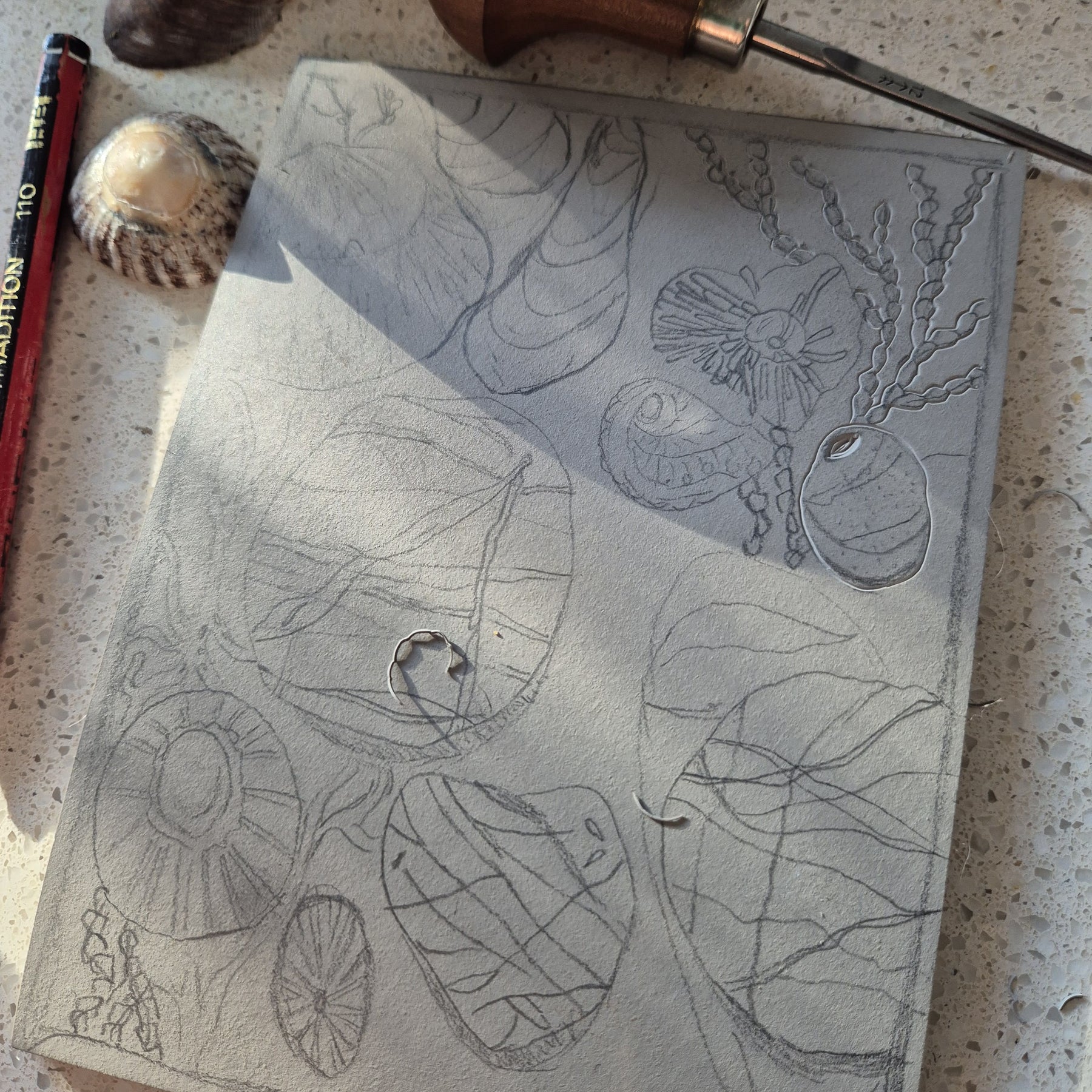 Original linocut art titled Shells and Stones