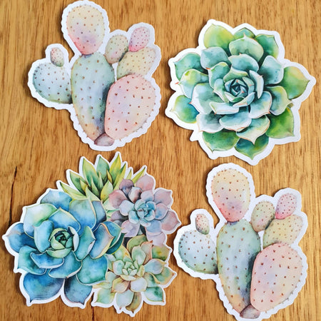 Succulent stickers - 4 set