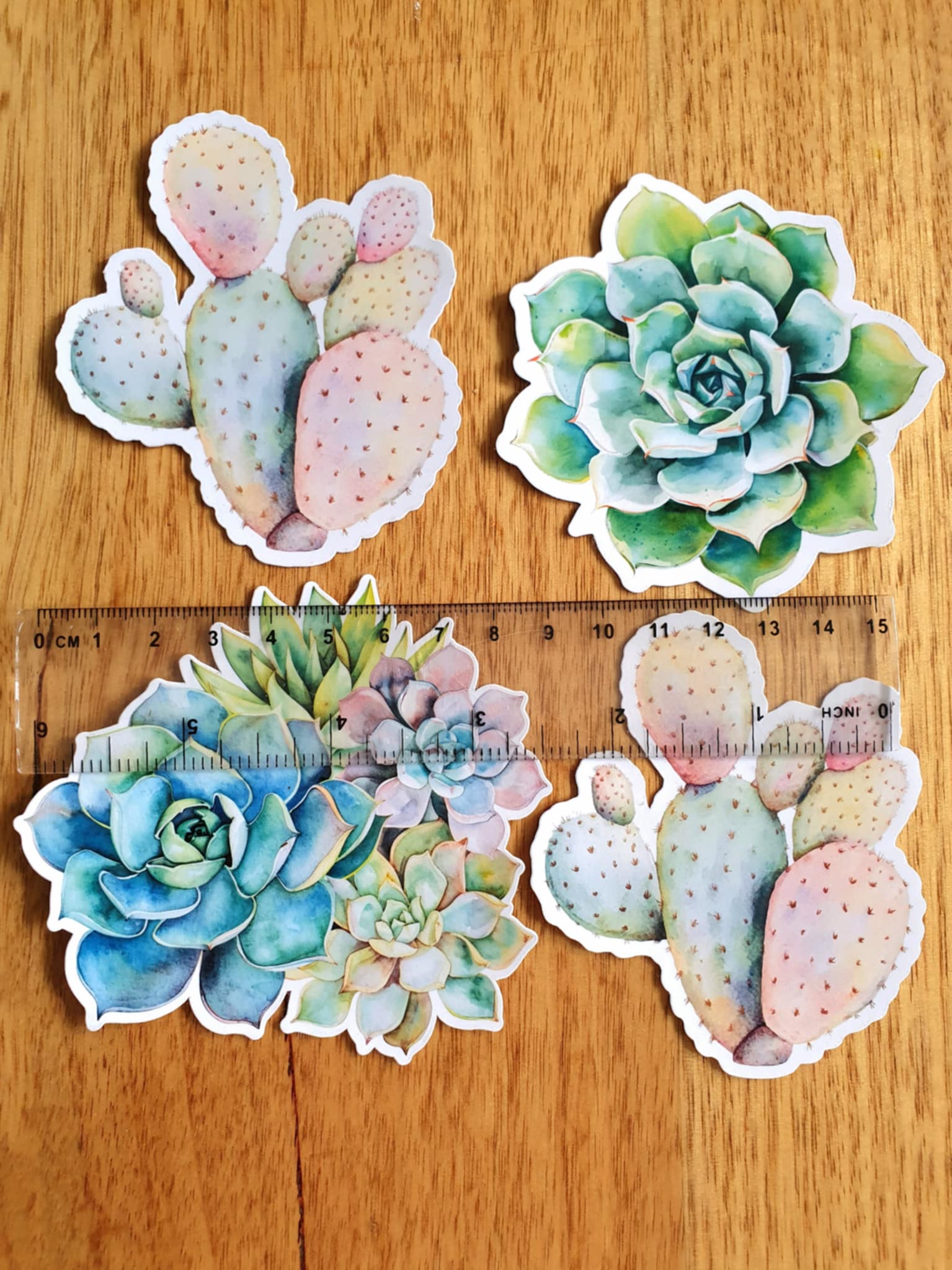 Succulent stickers - 4 set