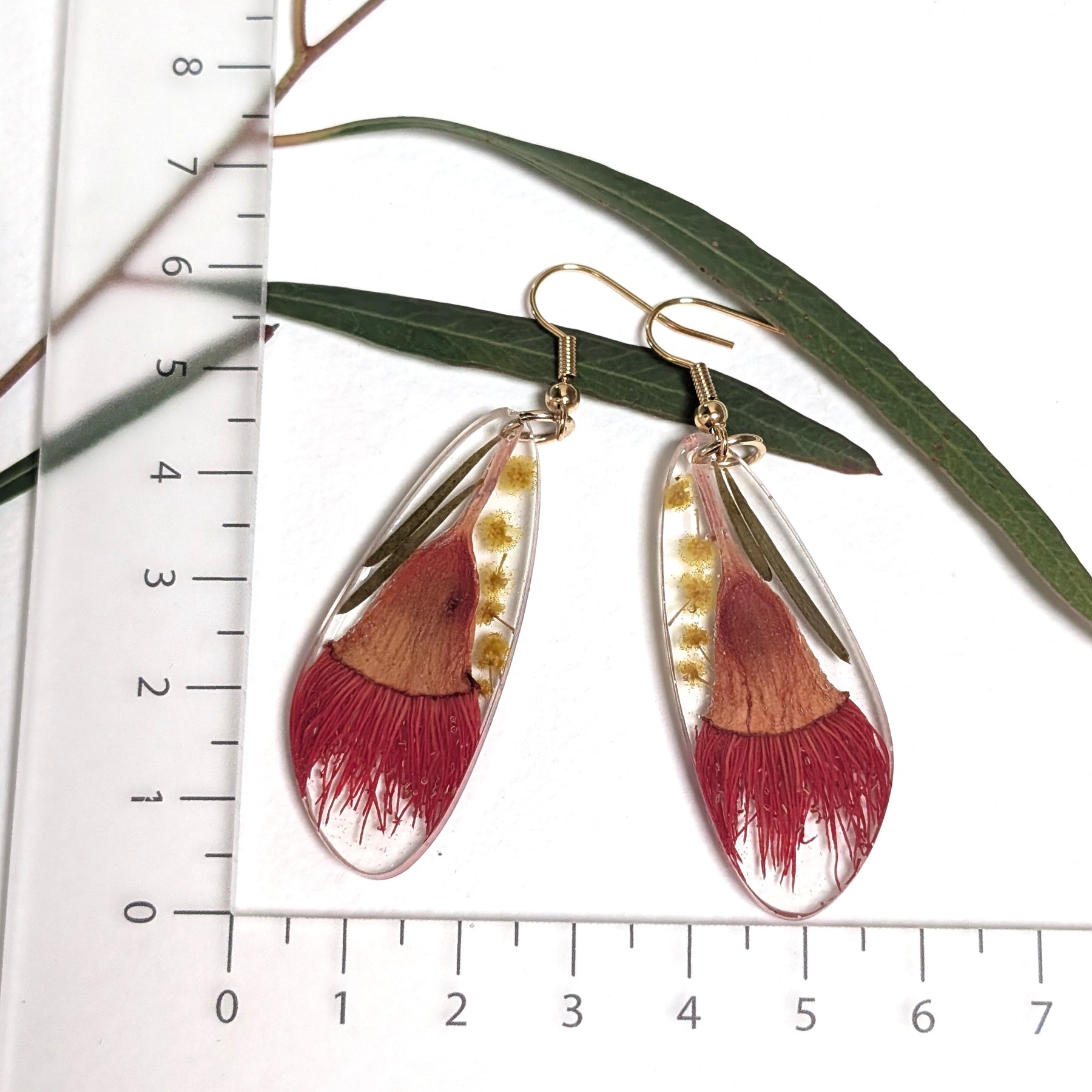 Flowering gum and wattle dangles