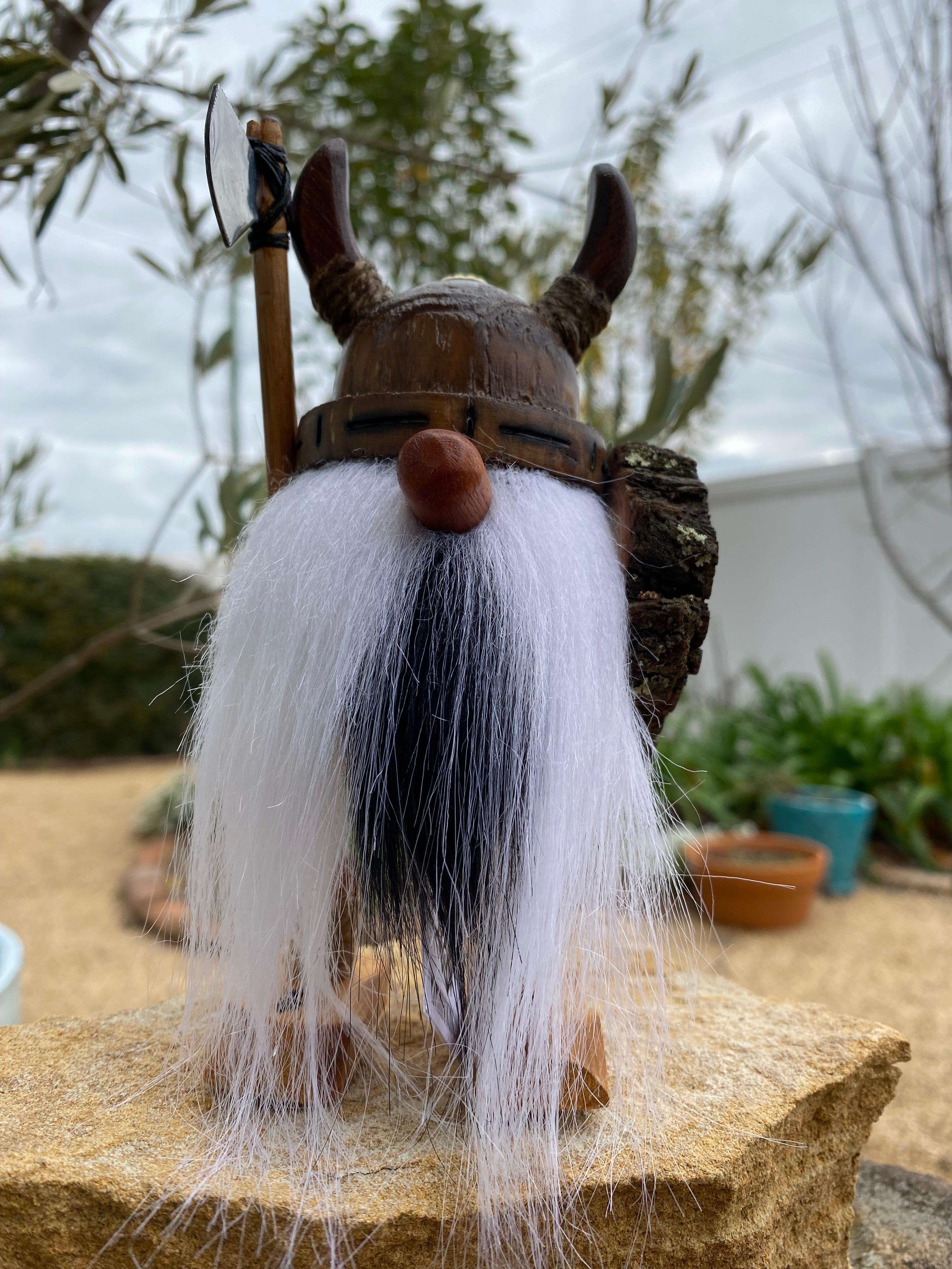 White and Black Beard Viking