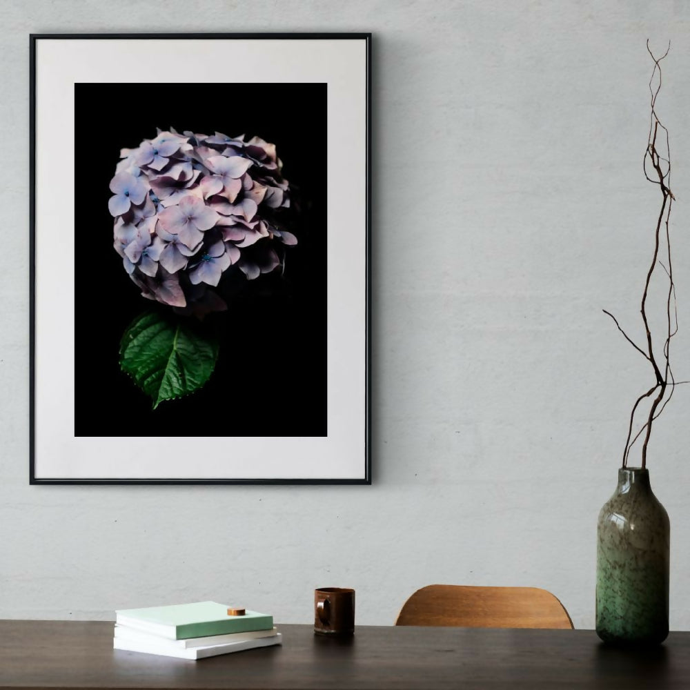 fine art photographic print of purple hydrangea