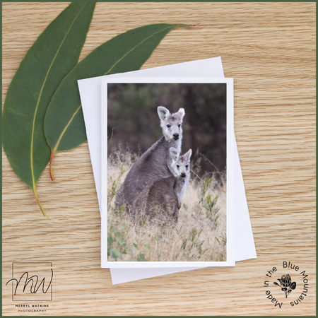 Blank Greeting Card - Eastern Walleroos Photo
