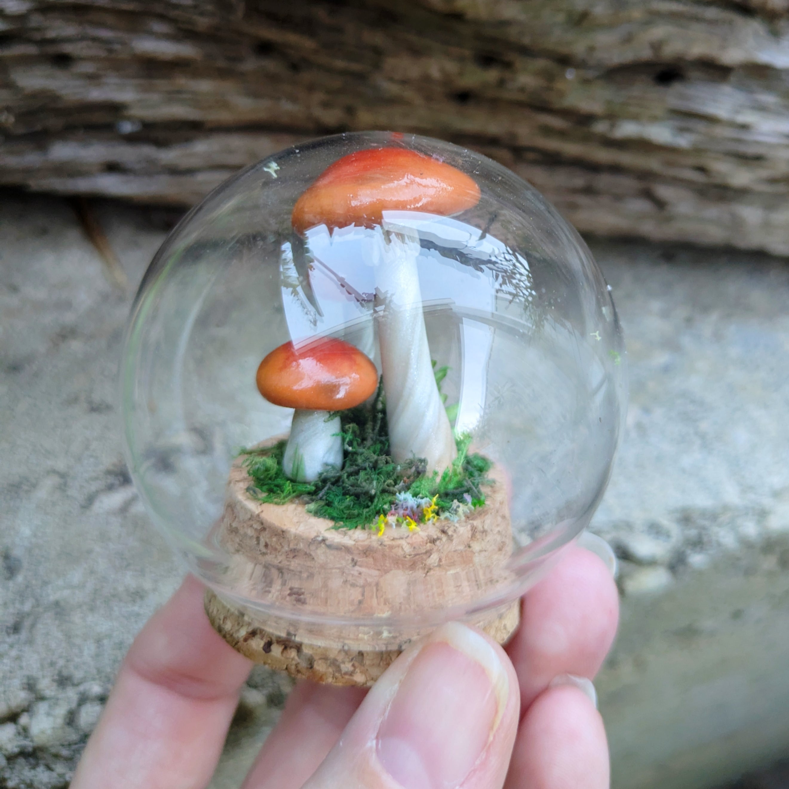 Woodland Mushroom Trio Dome