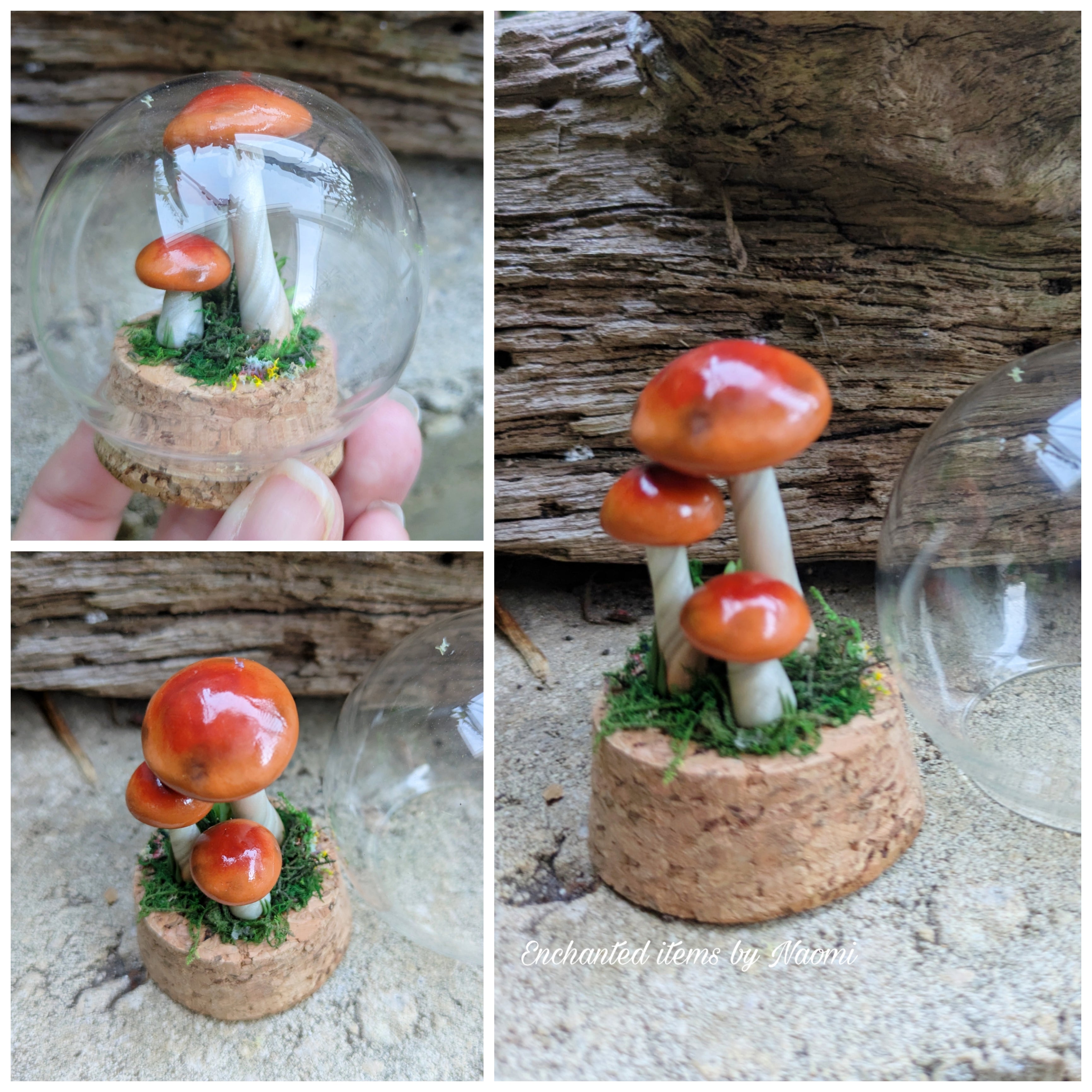 Woodland Mushroom Trio Dome