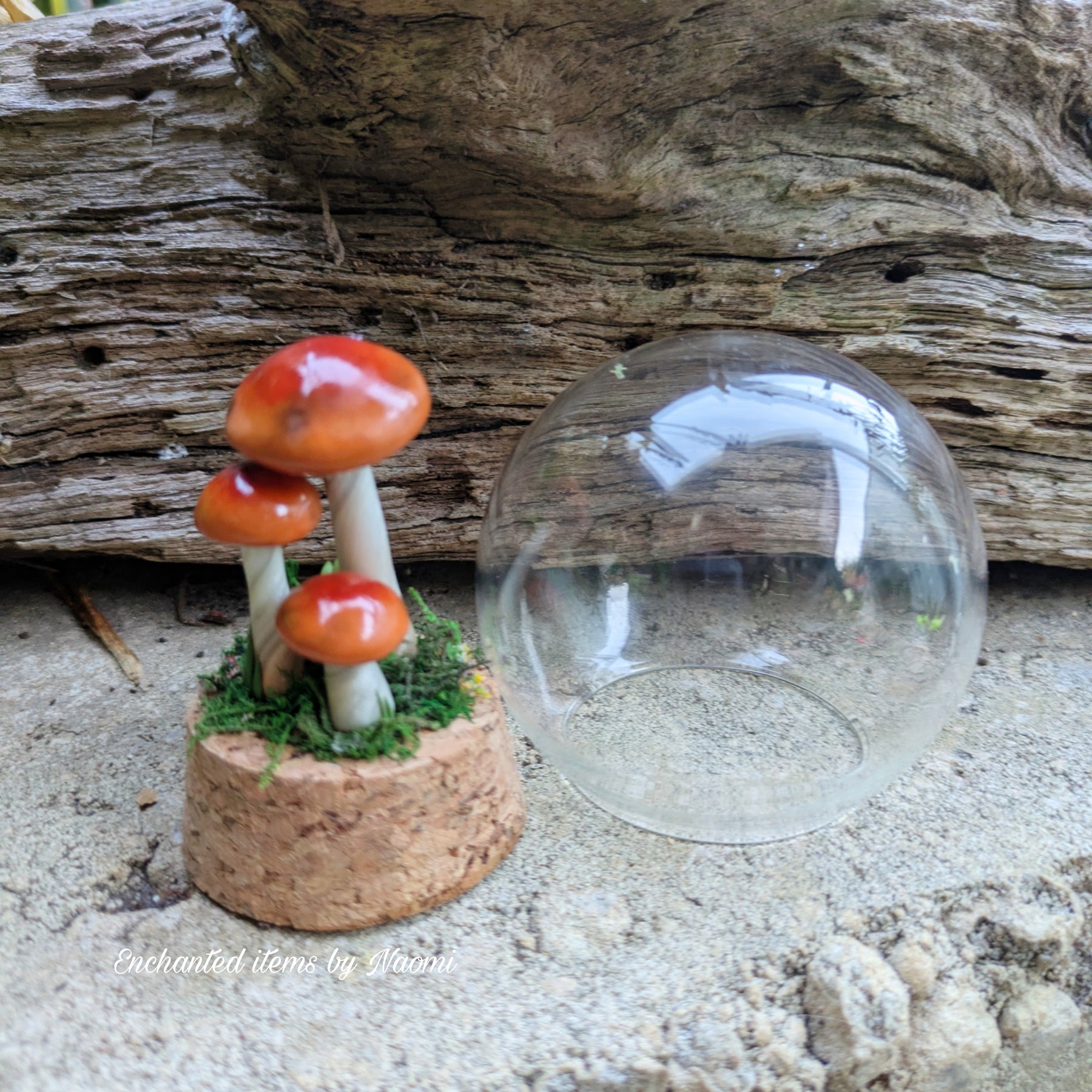 Woodland Mushroom Trio Dome