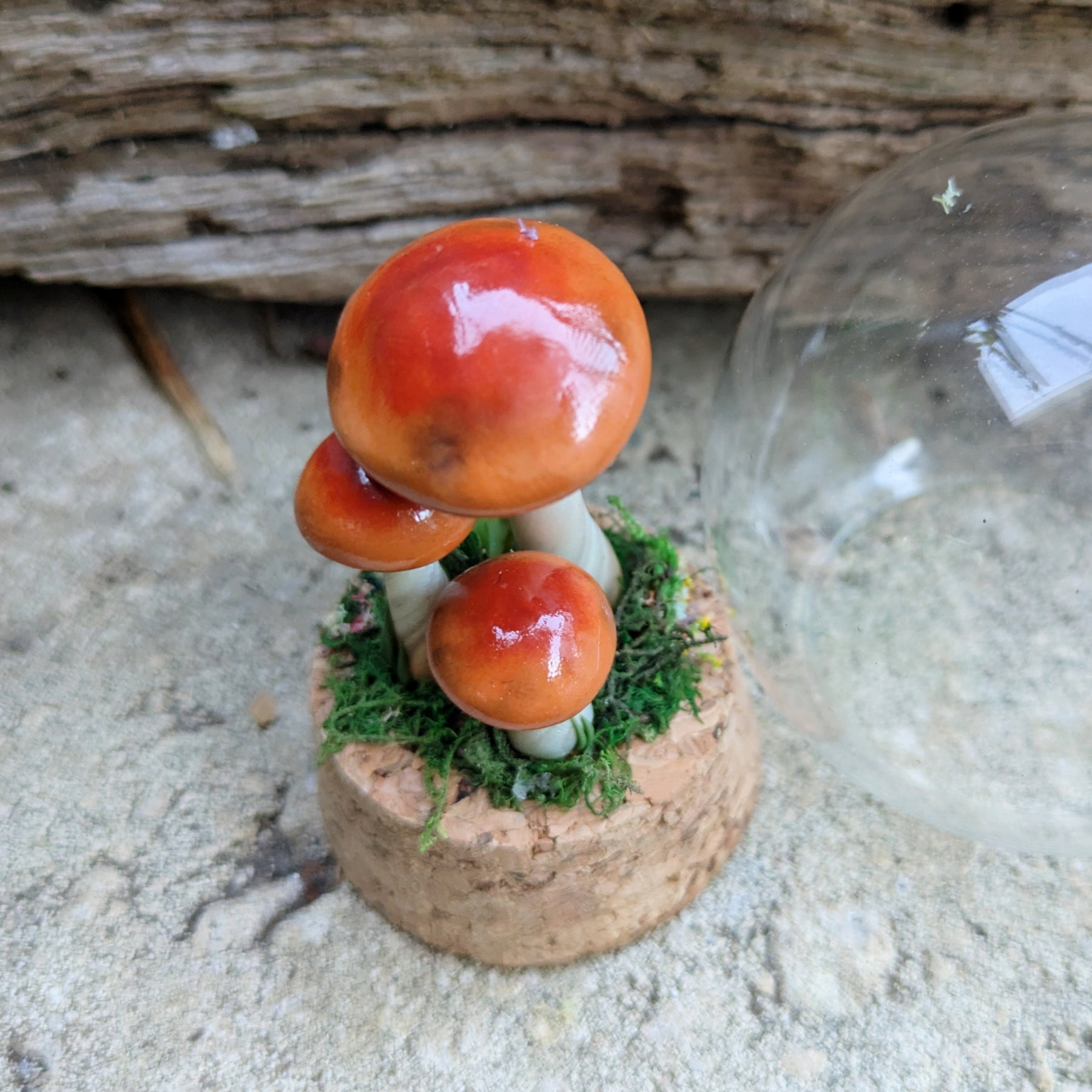 Woodland Mushroom Trio Dome