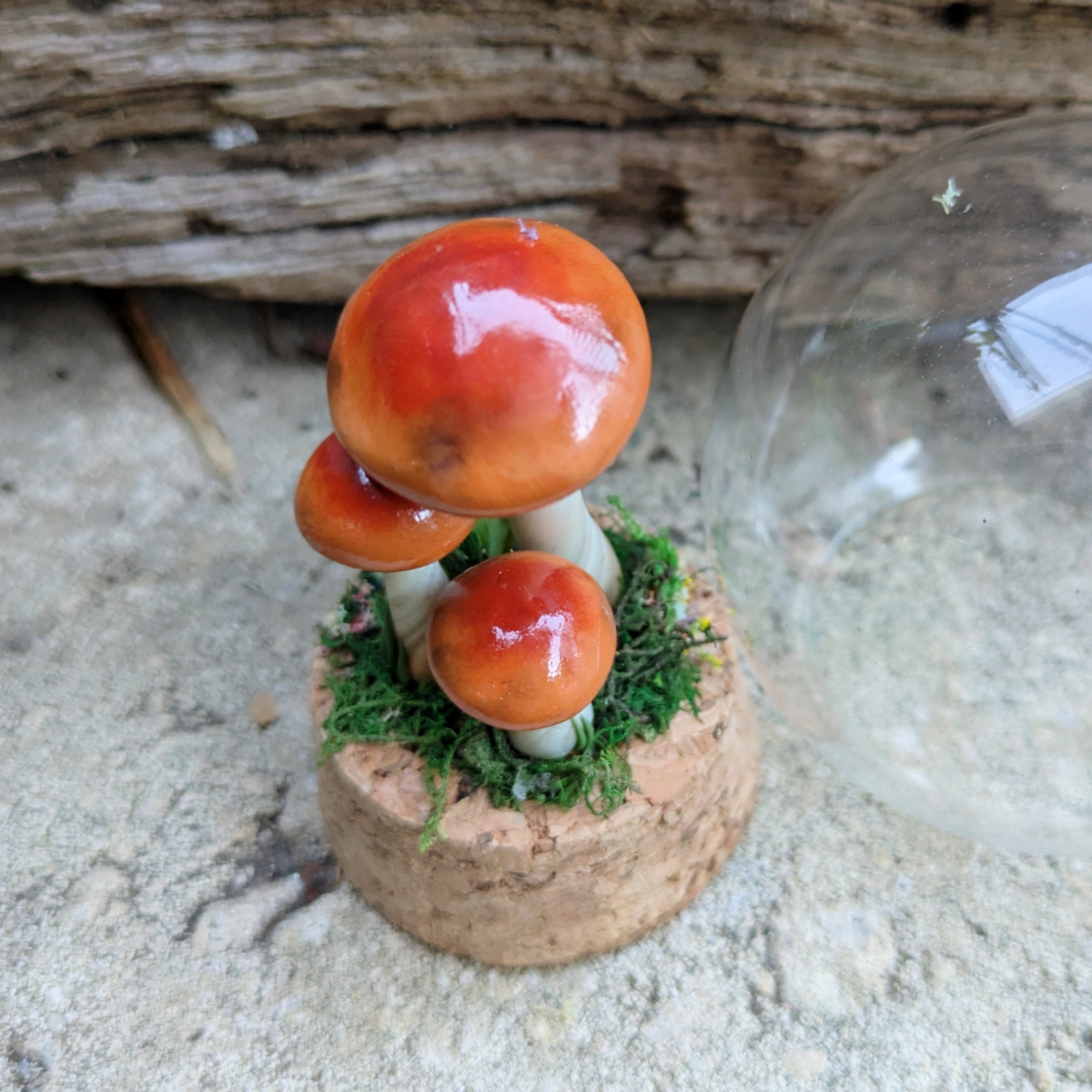 Woodland Mushroom Trio Dome