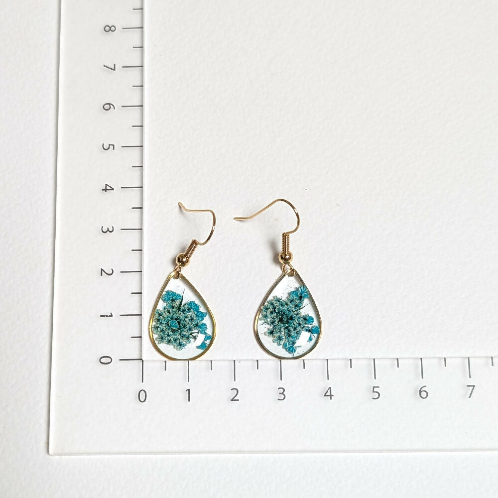 PXL_20250417_033517988