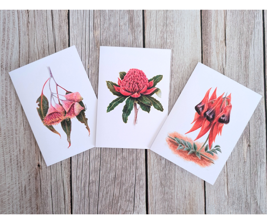 Australian Natives | Greeting Card Packs | Blank Greeting Card | Recycled
