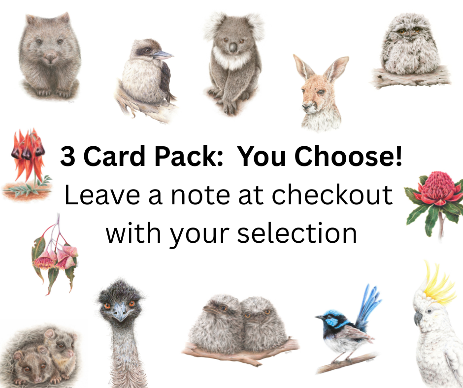 Australian Natives | Greeting Card Packs | Blank Greeting Card | Recycled
