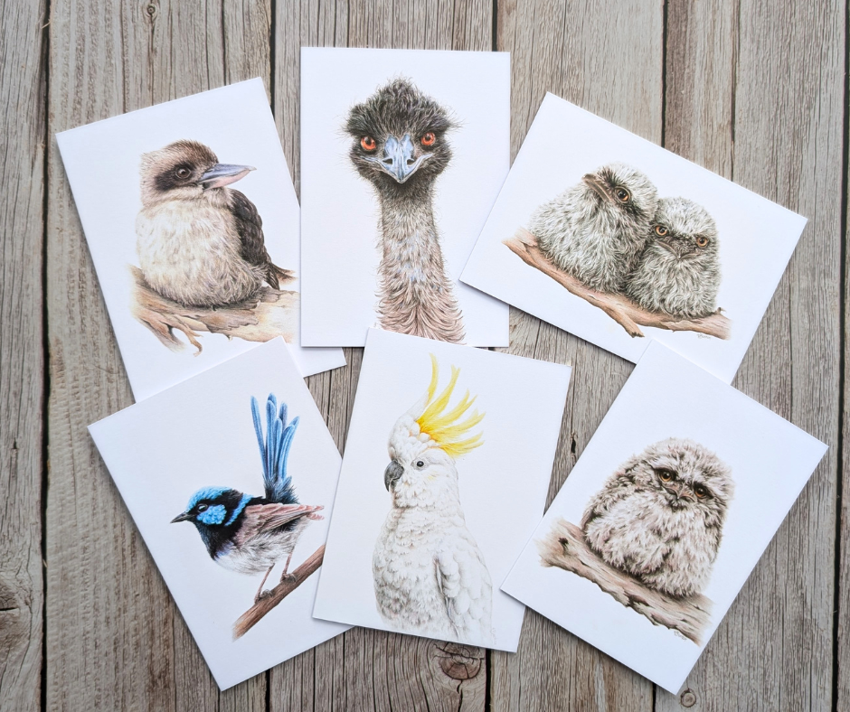 Australian Natives | Greeting Card Packs | Blank Greeting Card | Recycled