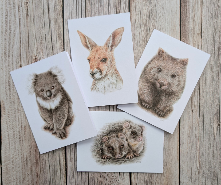 Australian Natives | Greeting Card Packs | Blank Greeting Card | Recycled
