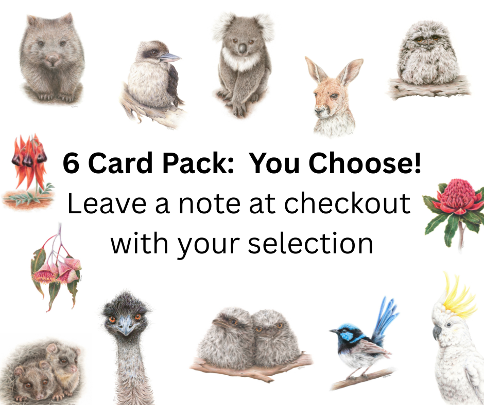 Australian Natives | Greeting Card Packs | Blank Greeting Card | Recycled