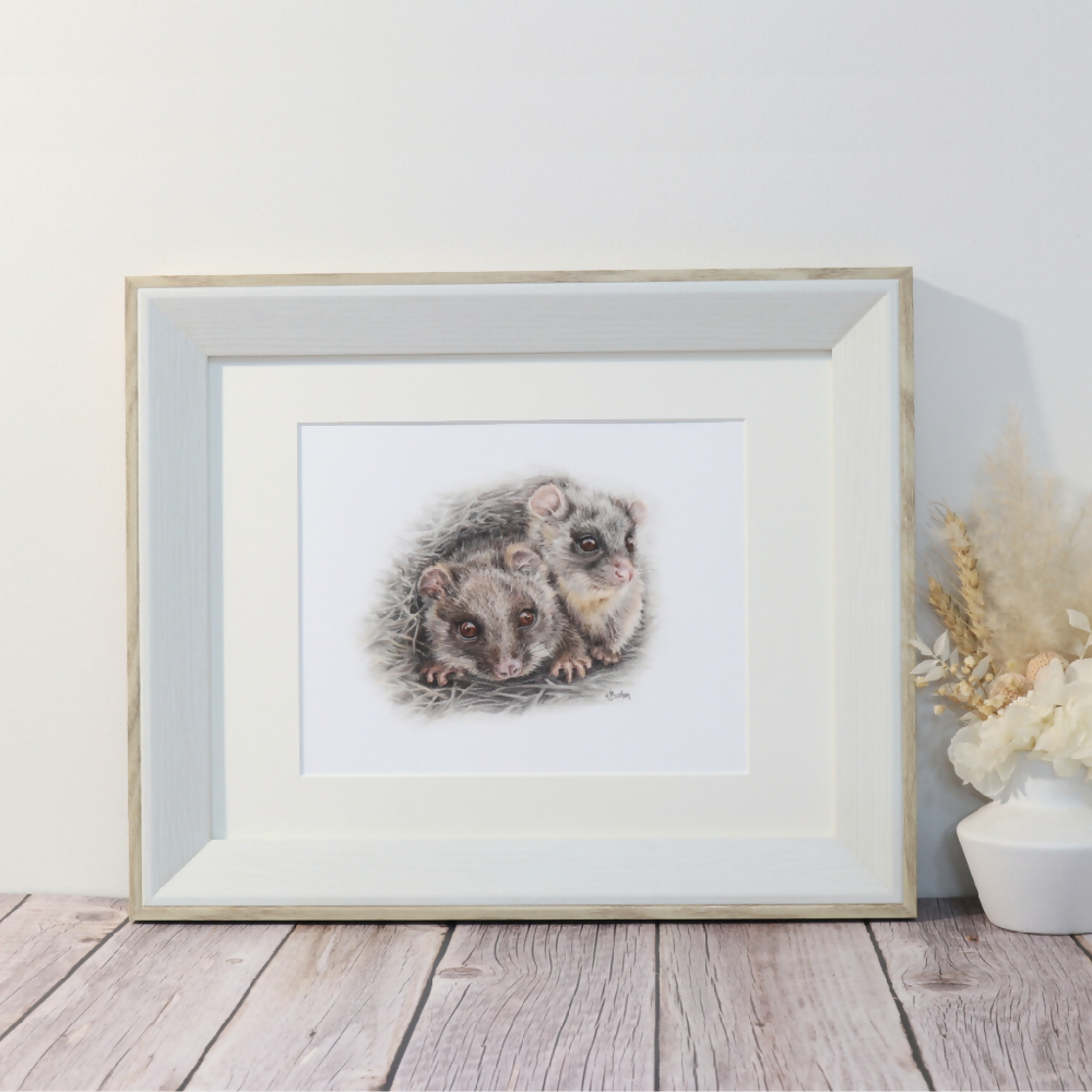 Ringtail Possums | Australian Wildlife Art Print