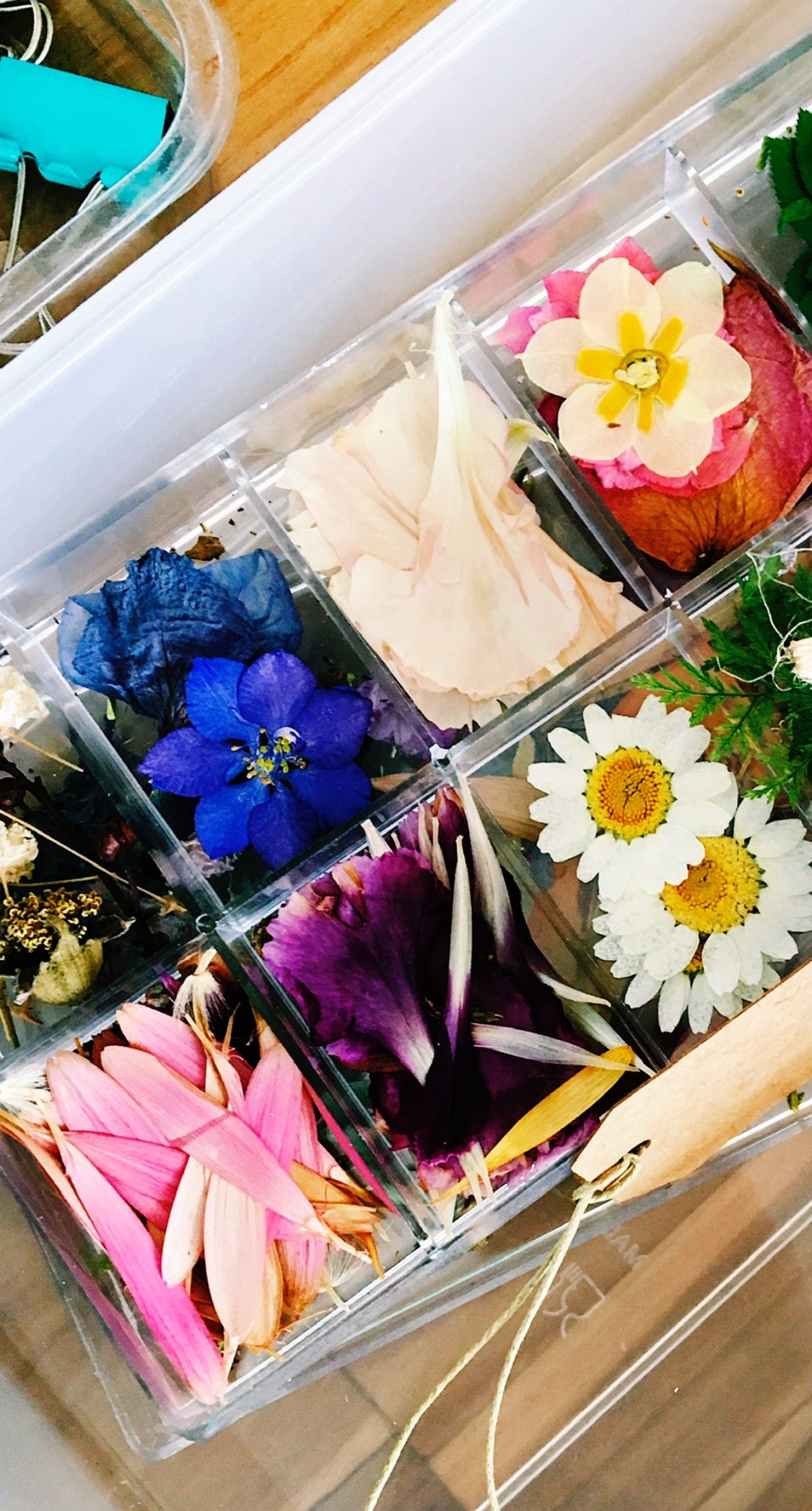 DIY UV Resin Botanical Jewellery Kit