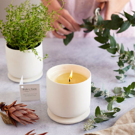 Handmade Botanical Candles | Transforms into a Herbal Pot Plant | Up to 40 hours Burn Time