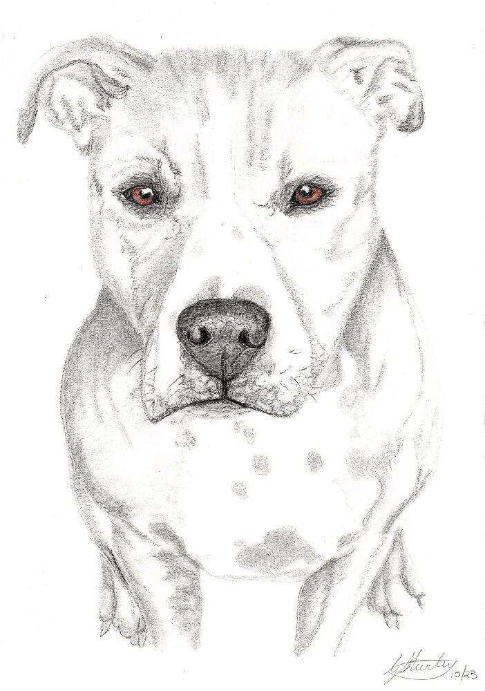 Graphite Pet Portrait A5