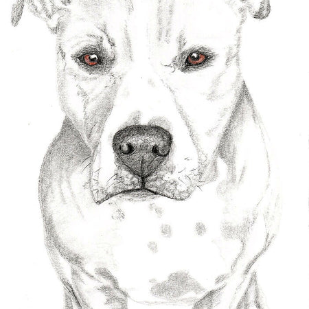 Graphite Pet Portrait A5