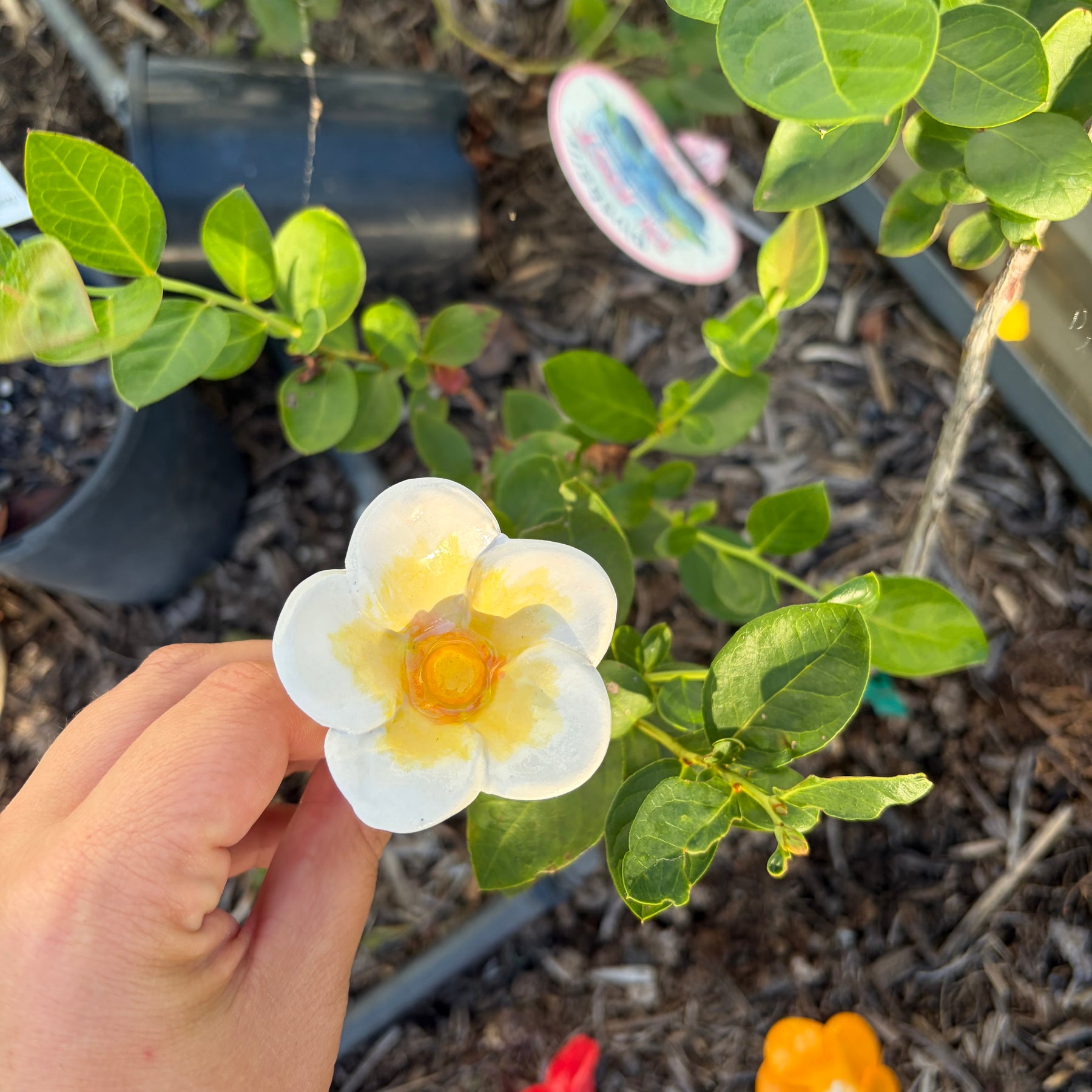 Bee Watering Cups - Ceramic Flowers!