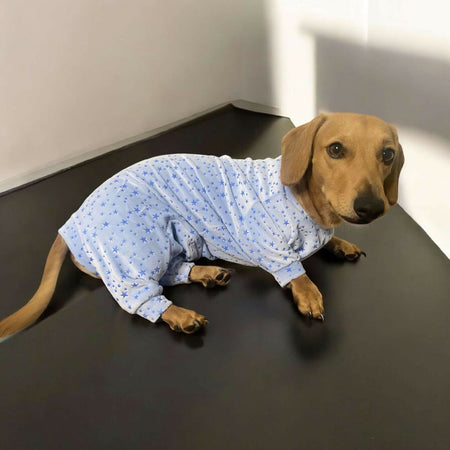 Pyjamas/Pajamas for Dogs. Dachshunds, chihuahua, standard dogs, variety of sizes and colors