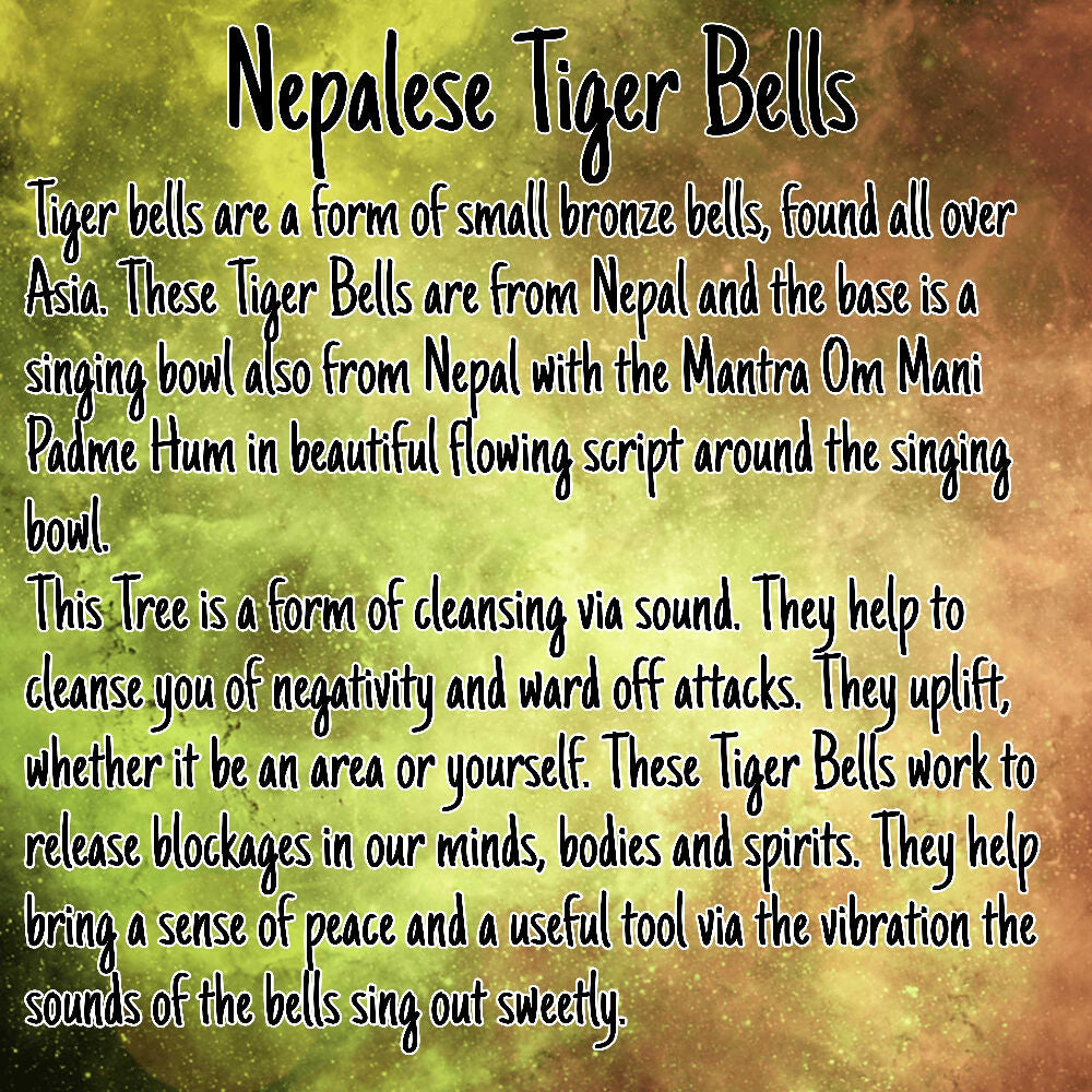 Picsart_24-10-05_23-02-26-109