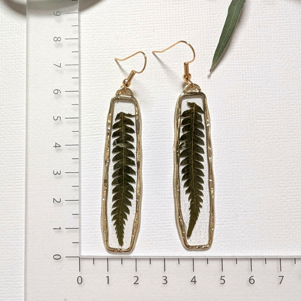 PXL_20250406_042711909