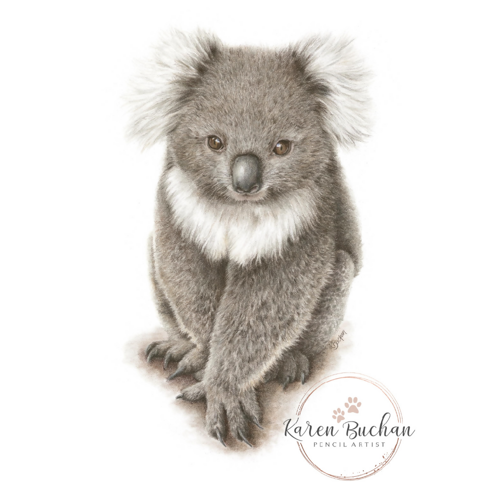 Australian-artist-greeting-card-koala-image