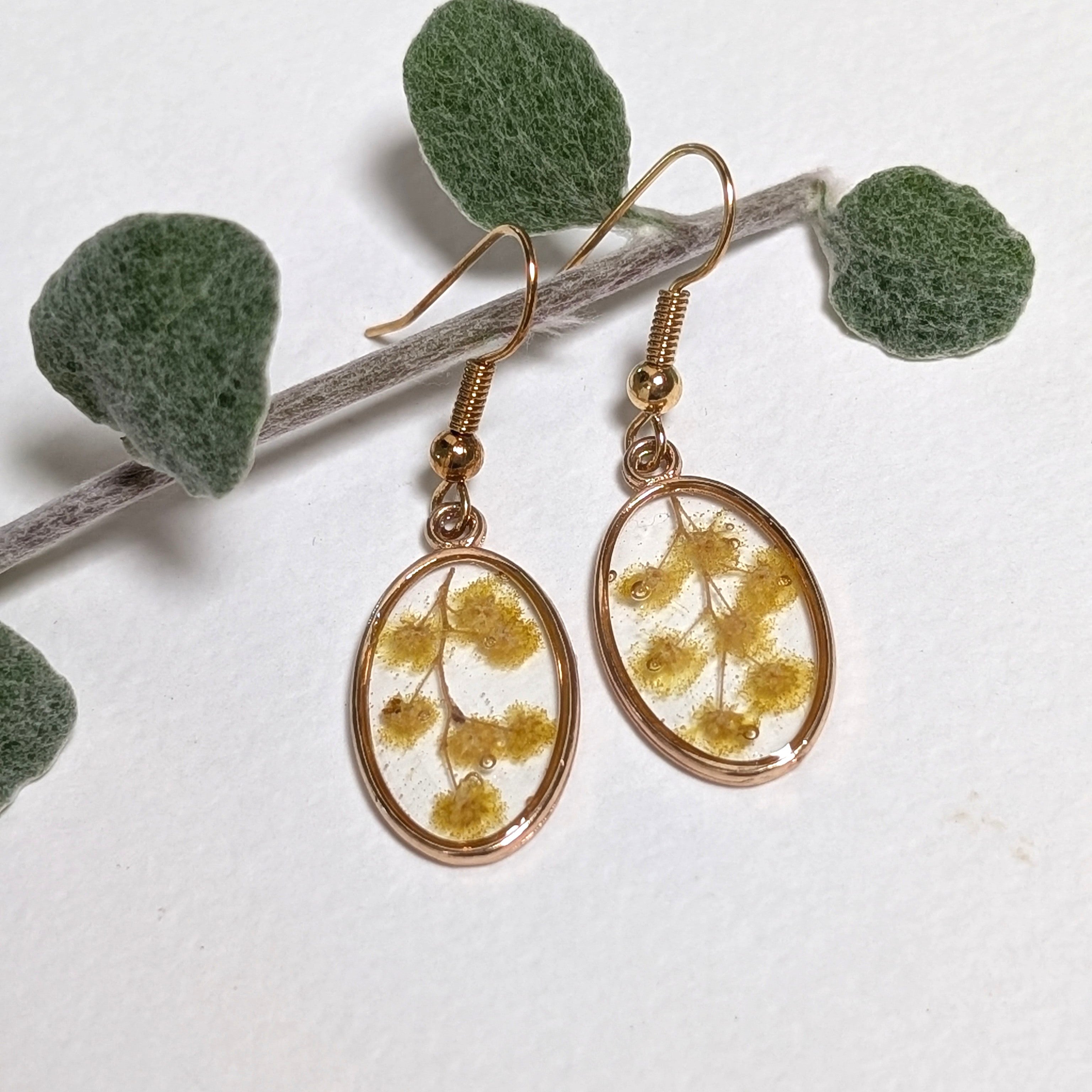Wattle oval earrings