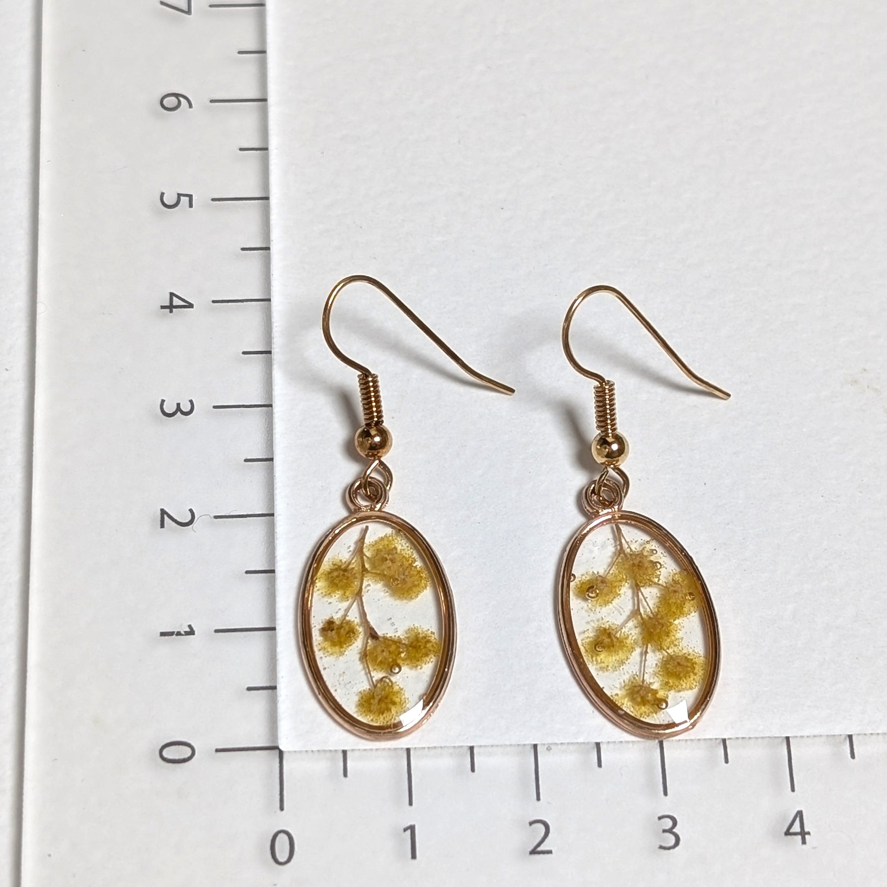 Wattle oval earrings
