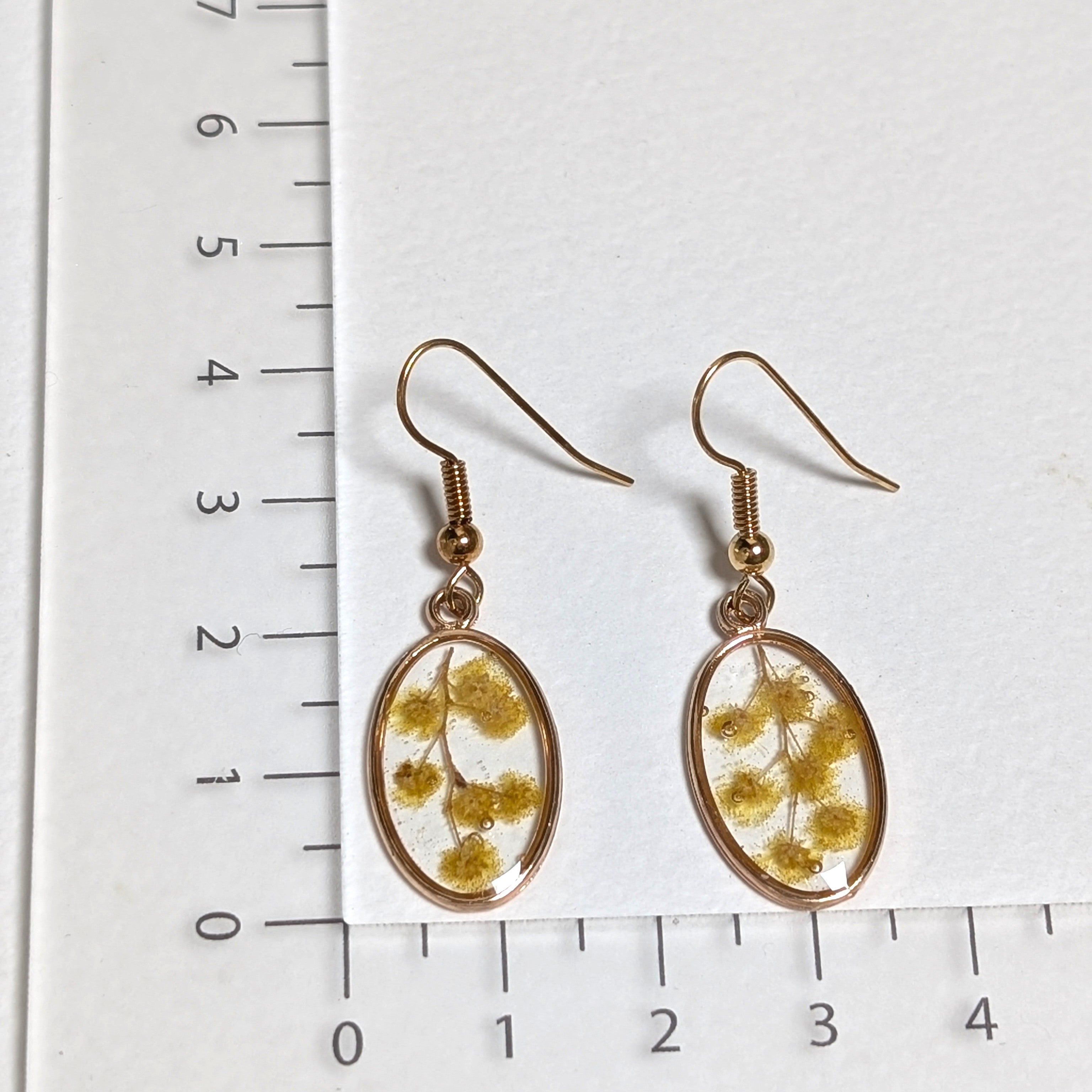 Wattle oval earrings