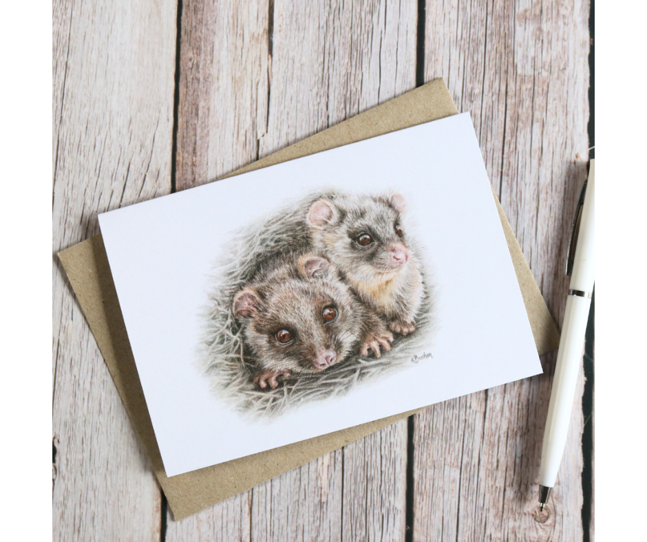 Australian Natives | Greeting Card Packs | Blank Greeting Card | Recycled