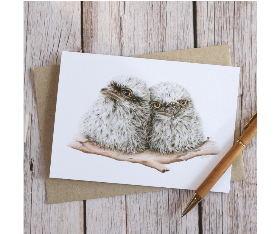 Australian Natives | Greeting Card Packs | Blank Greeting Card | Recycled