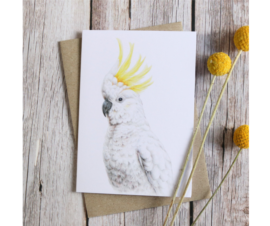 Australian Natives | Greeting Card Packs | Blank Greeting Card | Recycled