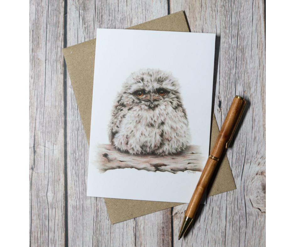 Australian Natives | Greeting Card Packs | Blank Greeting Card | Recycled