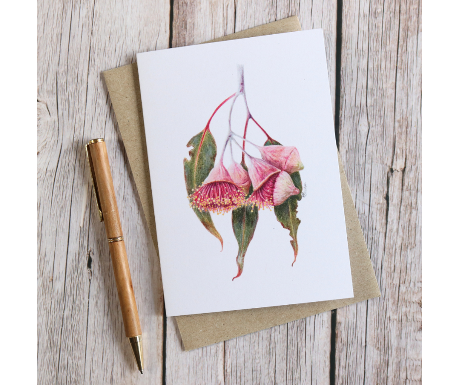 Australian Natives | Greeting Card Packs | Blank Greeting Card | Recycled