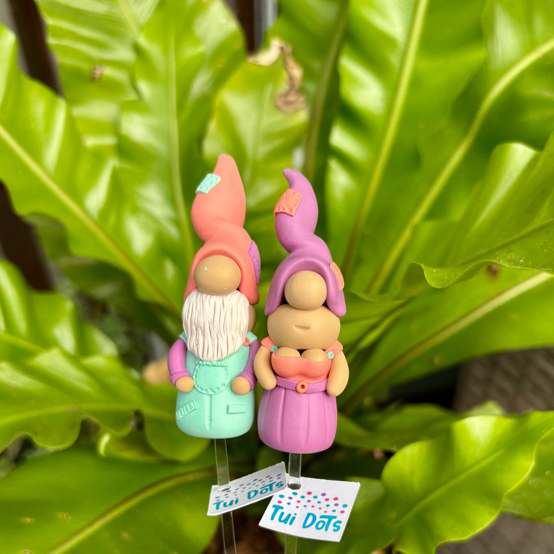 Tiny Gnome Pair - Colby and Marie