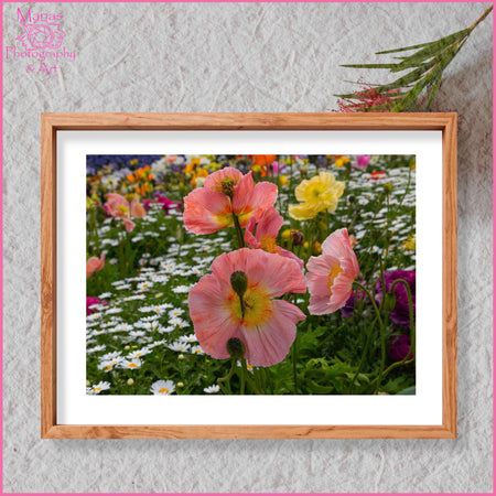 Photographic Print | Wall Art | Flowers