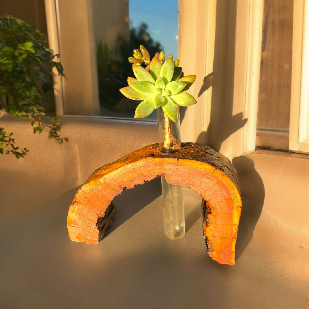 Rustic log vase - half