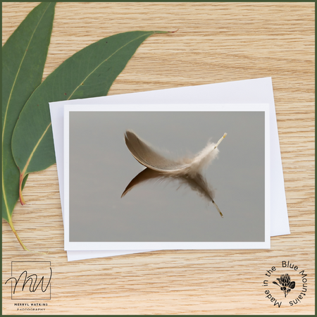 Blank Sympathy Card - Feather Reflected