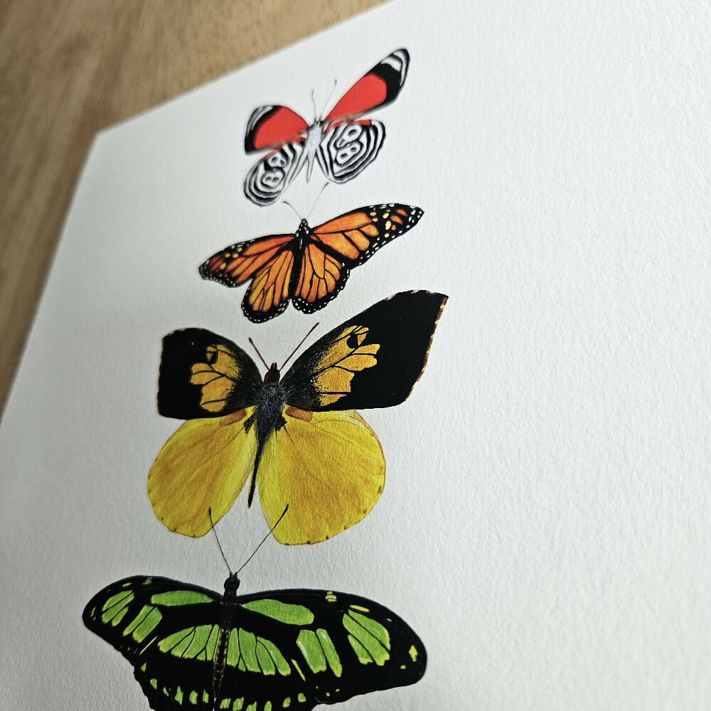 art print - the fauna series - rainbow butterfly collage